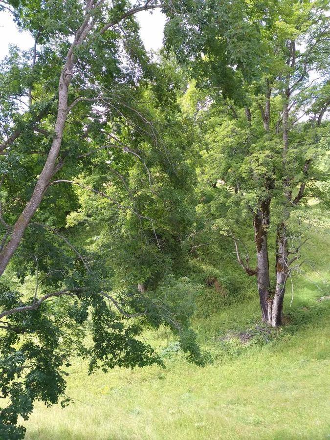 Загородные дома Domaćinstvo Krstajić Жабляк-43