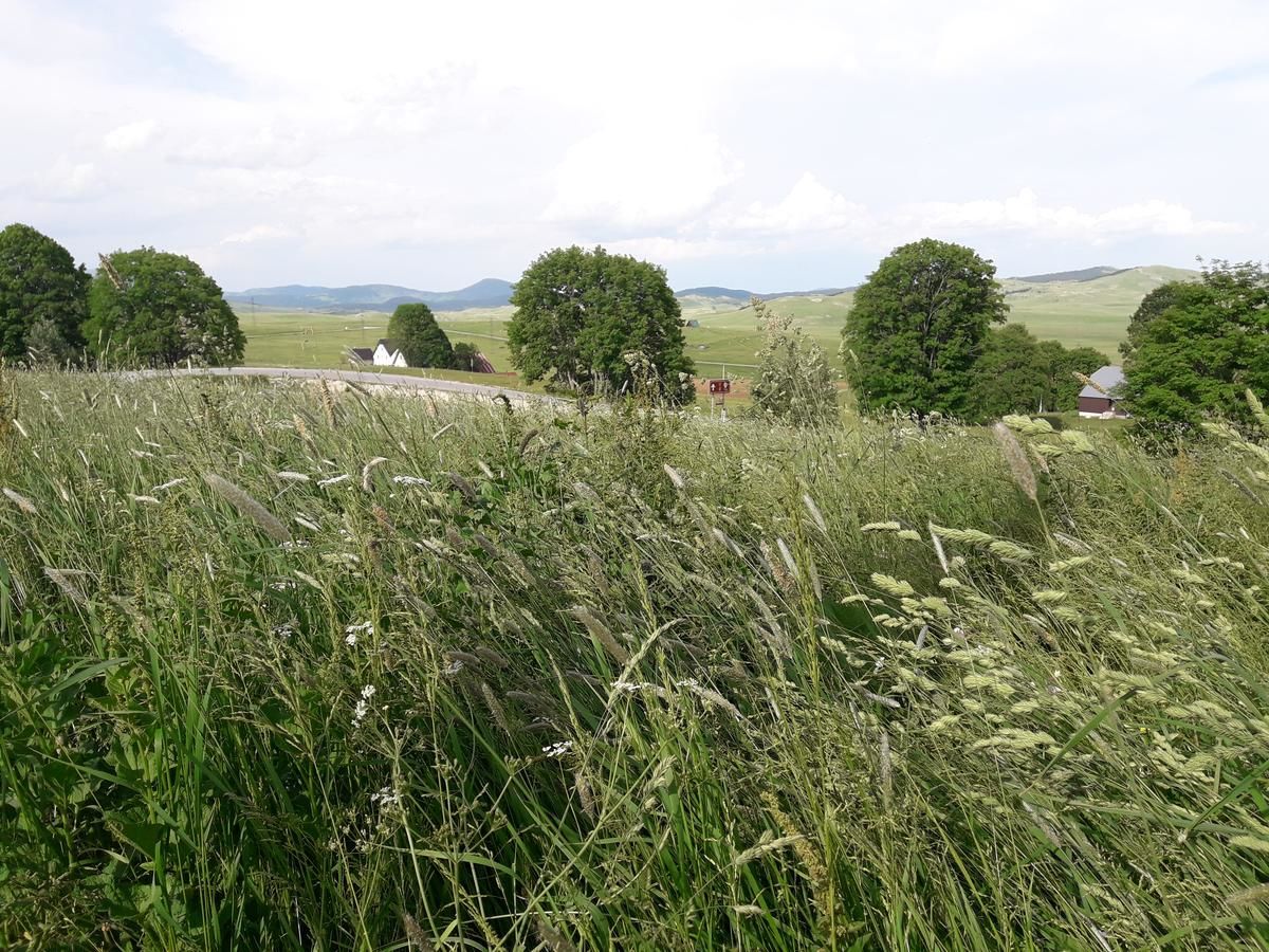 Загородные дома Domaćinstvo Krstajić Жабляк-44