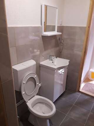 Загородные дома Domaćinstvo Krstajić Жабляк Двухместный номер-студио Делюкс с 1 кроватью-8