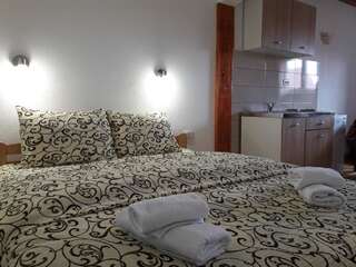 Загородные дома Domaćinstvo Krstajić Жабляк Двухместный номер-студио Делюкс с 1 кроватью-10