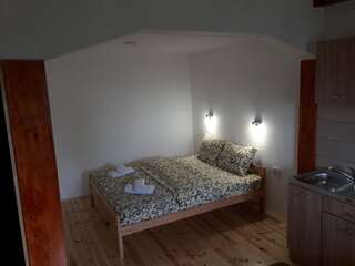 Загородные дома Domaćinstvo Krstajić Жабляк Двухместный номер-студио Делюкс с 1 кроватью-11