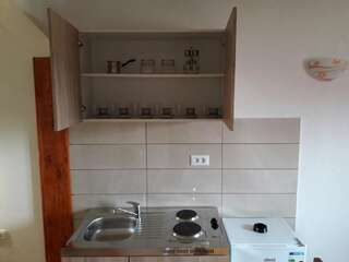 Загородные дома Domaćinstvo Krstajić Жабляк Двухместный номер-студио Делюкс с 1 кроватью-13