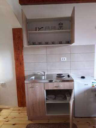 Загородные дома Domaćinstvo Krstajić Жабляк Двухместный номер-студио Делюкс с 1 кроватью-14