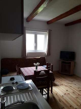 Загородные дома Domaćinstvo Krstajić Жабляк Двухместный номер-студио Делюкс с 1 кроватью-15