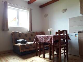 Загородные дома Domaćinstvo Krstajić Жабляк Двухместный номер-студио Делюкс с 1 кроватью-19