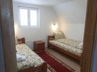 Загородные дома Domaćinstvo Krstajić Жабляк Двухместный номер с 2 отдельными кроватями, вид на сад-7