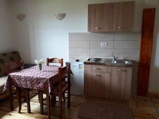 Загородные дома Domaćinstvo Krstajić Жабляк Двухместный номер-студио Делюкс с 1 кроватью-3