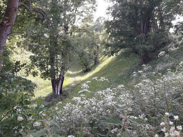 Загородные дома Domaćinstvo Krstajić Жабляк-41